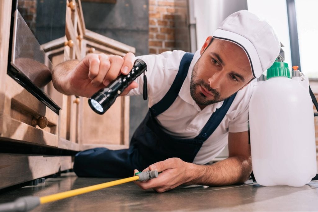 Termite inspection when buying a home in Port Charlotte performed by a pest-control professional