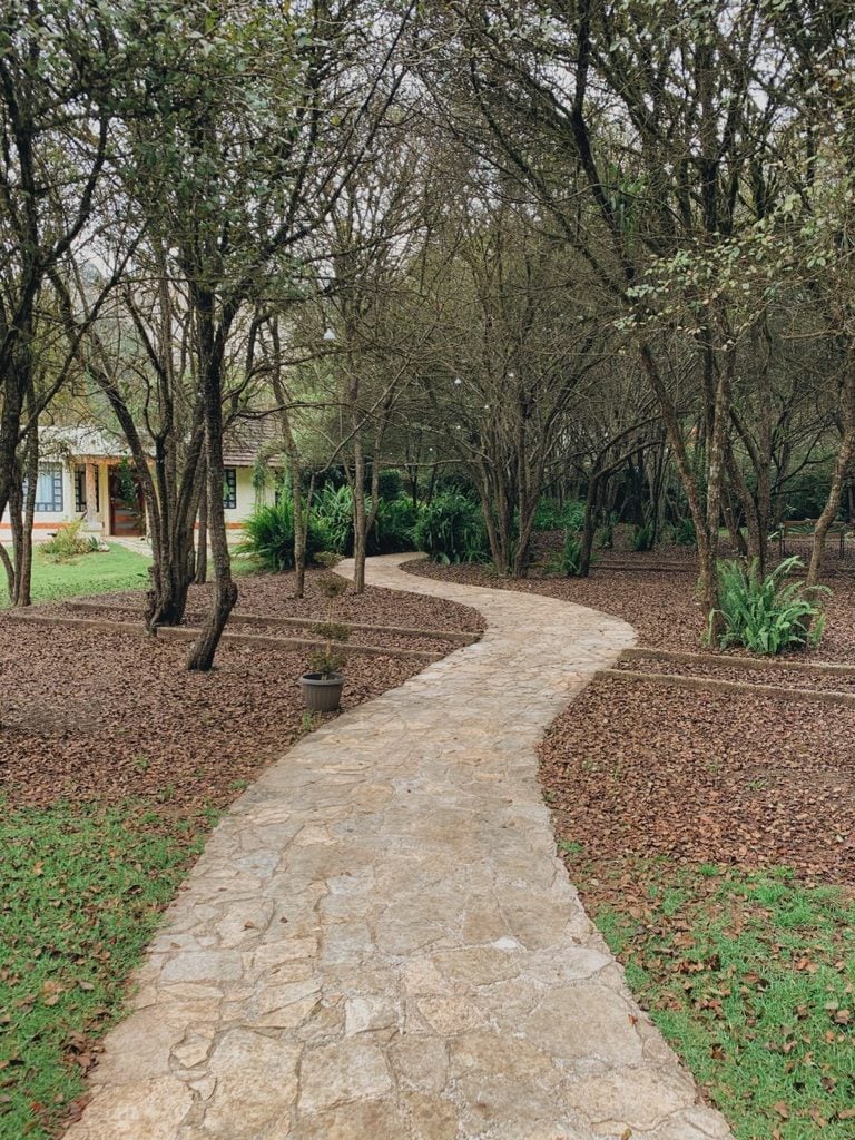 Residential paver walkway through a shaded landscape with mature trees and planted garden beds