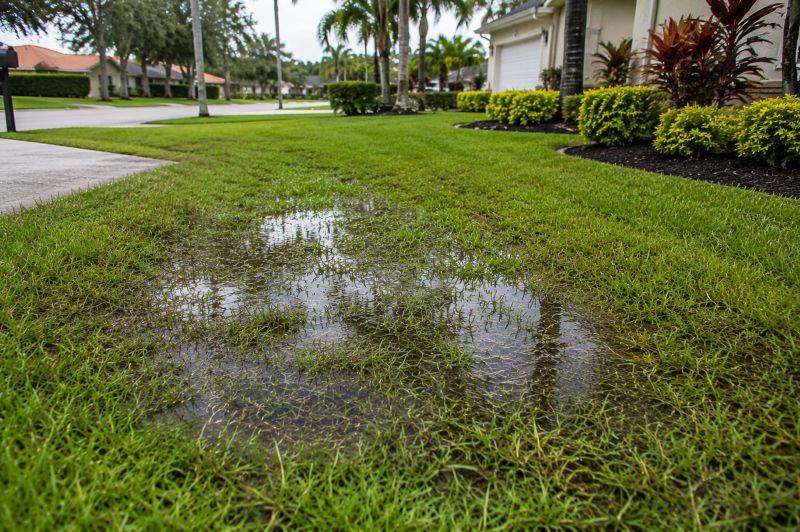 Standing water in a low section of a Port Charlotte residential lawn following heavy rain