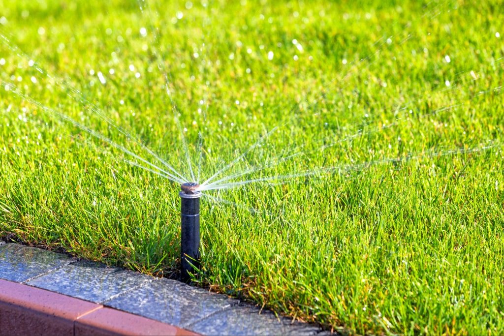 New Sod Aftercare in Port Charlotte: Watering, Foot Traffic and the First Mow 1 Sprinkler watering freshly installed sod in a Port Charlotte residential lawn